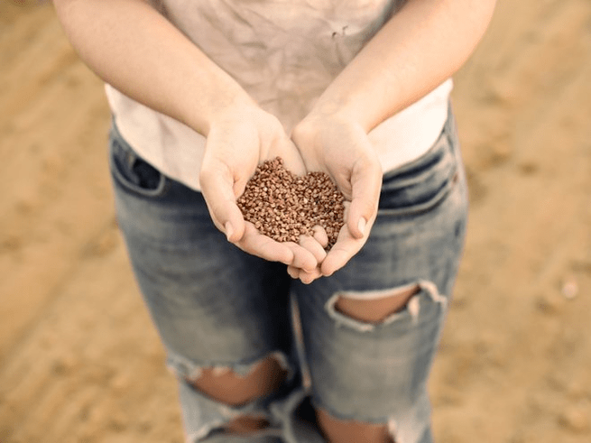 buckwheat ၏အကျိုးကျေးဇူးများ